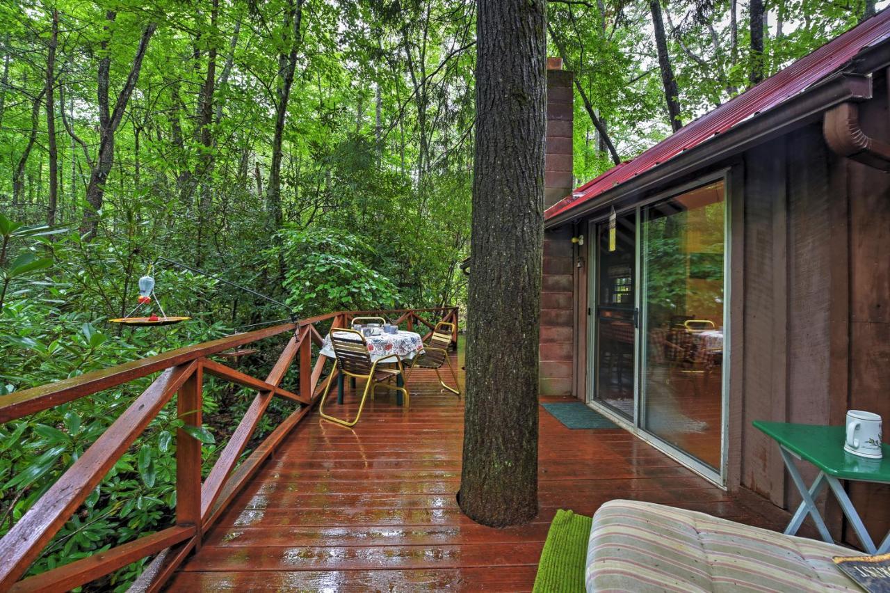 Serene Creekside Cottage Near Asheville Fire Pit Candler Exteriér fotografie